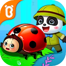 ���������ռ�2026�ٷ�����