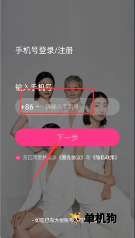 ������׼�