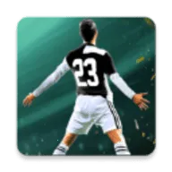 �������籭