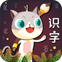 ������ʶ������