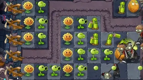 ֲ���ս��ʬ��ʼ����