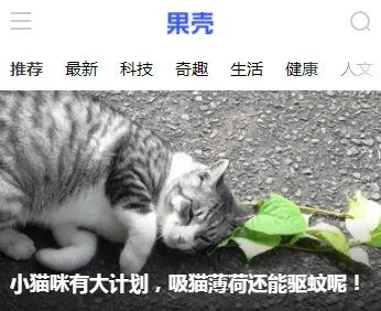 ���ǰ�׿���ֻ���