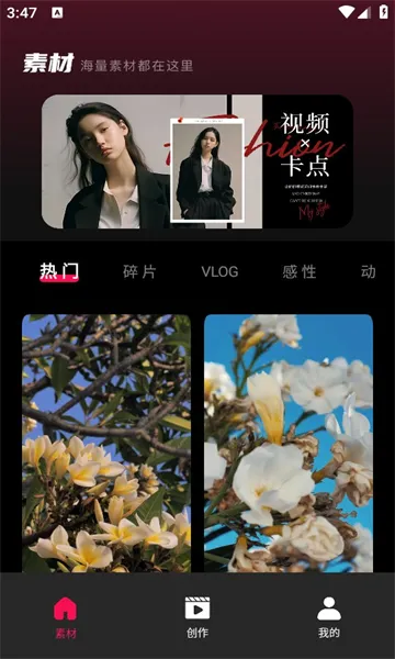 tibni�������