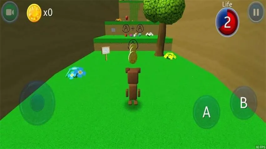 С��ɭ���ռ�2026�ٷ�����