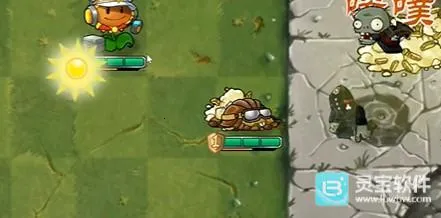 ֲ���ս��ʬ��������ò˵�