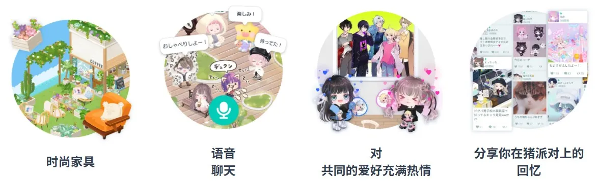 �����ɶ�2026���°汾