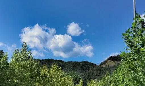 �״����app