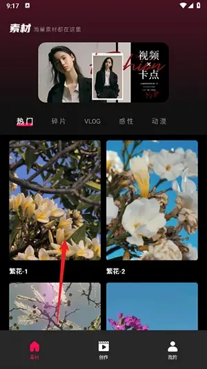 tibni���ʰ�����