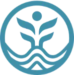 �ֵĿ���2026�ٷ�����