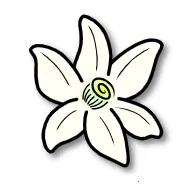 �Ȼ�ģ������׿���ֻ���v0db2f72e8 �ֻ���