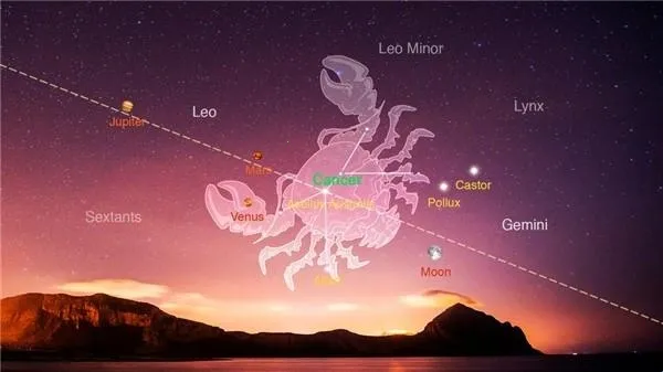 starwalk�ǿ�2026���°汾