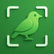 ʶ��׿���ֻ���