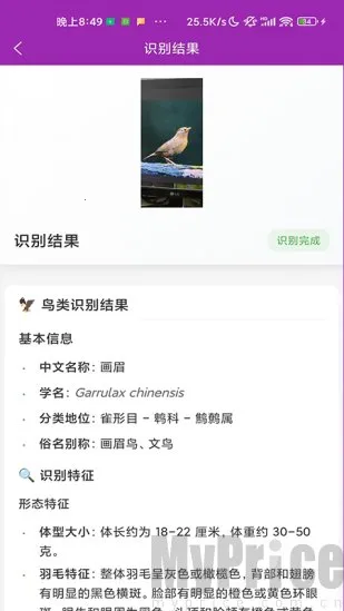 ʶ��׿���ֻ���