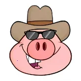 �˽�������2026���ذ�װ