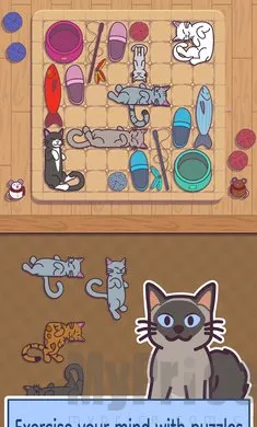 ���׶�2026�ٷ����°汾