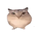 �ͰͲ�һ2026���°汾