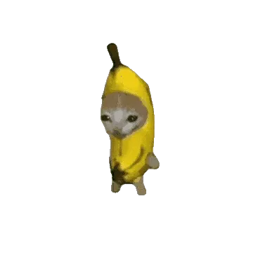 �ȱ�����2026���°汾