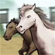 ����Ҳ������޽������