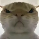 �������ж����󹤾�2026���ذ�װv1.0 �ٷ�����