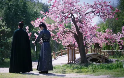 С��Ӱ��2026���ذ�װ