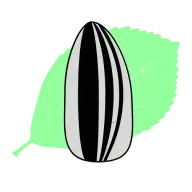 ����Ӱ��2026�ٷ�����