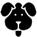 ��������������2026���°汾