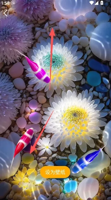 ��������ֽ(��ֽ��������ȫ)