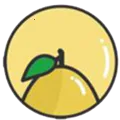 ����׷��2026�ٷ�����v1.2 �ֻ���