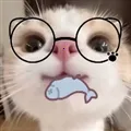 �����Pro��׿��ƻ�����������ֻ���v1.0.1 �ٷ�����