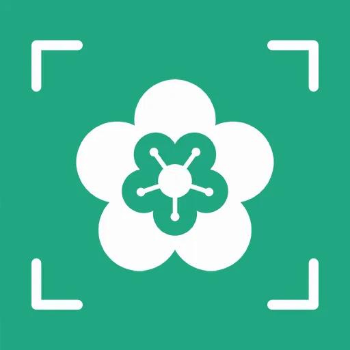AI����ʶ�������ֻ���v1.0.4 �ֻ���